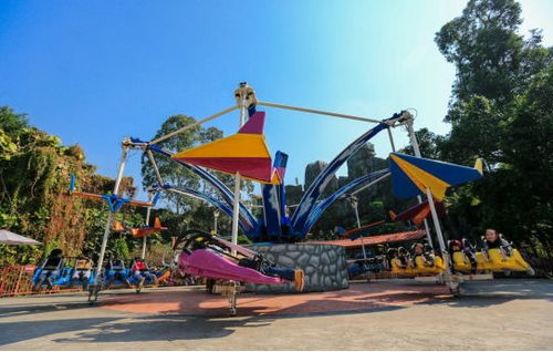 2018 CAE北京展 龍之盈游樂邀您參觀，共賞精彩游玩設備