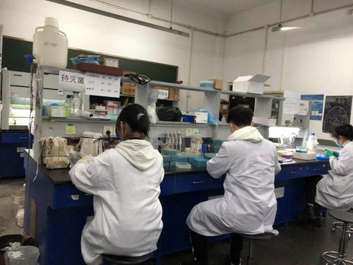 感受生物科技，創(chuàng)造無限未來——生物化工產(chǎn)品技術(shù)研發(fā)的社會(huì)實(shí)踐體會(huì)