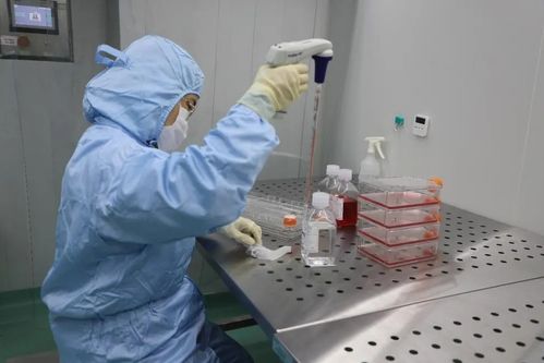 深圳康泰生物新冠滅活疫苗在廣西投入使用 關(guān)鍵技術(shù)解析與公眾關(guān)切解答